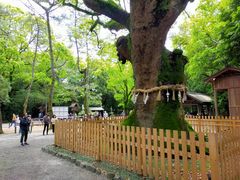 -热田神宫