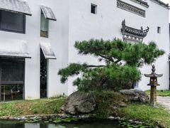 -塔川景区