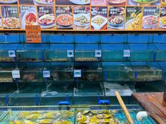 -琼大师东方烤乳猪(亚特兰蒂斯店)