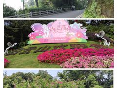 -广州市白云山风景名胜区