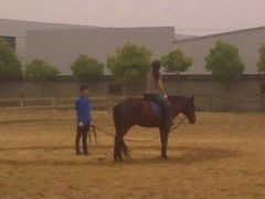 -松声马术俱乐部