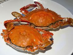 -赶海部落海鲜城(海阳路店)