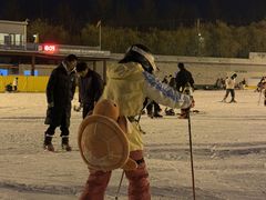 -世界之窗阿尔卑斯冰雪世界