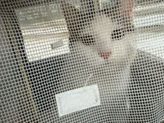 -宠颐生汉谟拉比宠物医院