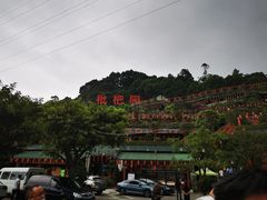 -枇杷园食为鲜火锅(南山店)