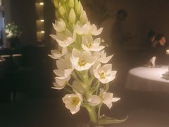 -许家菜(DT51店)