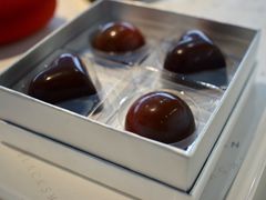 -BLACKSWAN黑天鹅(环球店)