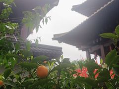 -香积寺