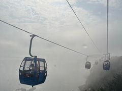 -摩天岭风景区