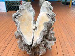 -蓝湾碧波·老字号·疍家非遗海上餐厅