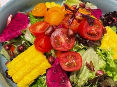 -紫光园·烤鸭·北京菜(劲松店)