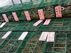 -荔城生鲜盛宴(番禺旗舰店)