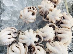 -铭聚章鱼土笋冻(松柏店)