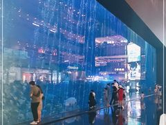 -成都浩海立方海洋公园