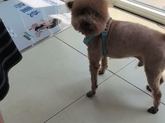 -宠福鑫康馨动物医院·骨科·眼科