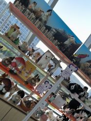 -IMON·HANSA潮玩玩偶毛绒玩具(通州万象汇店)