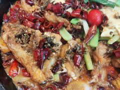 -老板恋上鱼(恒隆广场店)