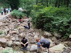 -素山寺森林公园