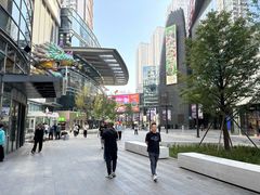 -大悦城(沈阳中街店)