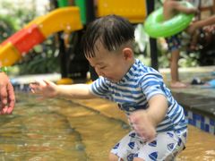 -苏州乐园森林水世界