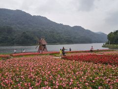 -广州市石门国家森林公园