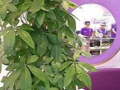 -喜乐村芋泥脑袋家族(三里屯店)