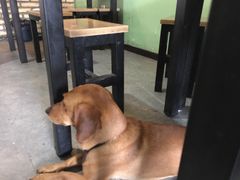-炙热童年·老北京炙子烤肉(南锣鼓巷店)