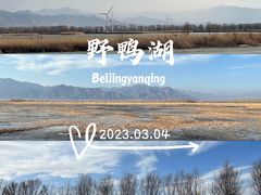 -野鸭湖国家湿地公园