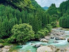 -瓦屋山景区