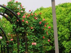 -上海交通大学(闵行校区)