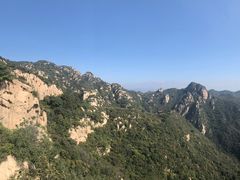 -大岭沟猕猴桃谷风景区
