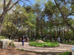 -黑龙江省森林植物园