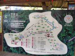-野象谷景区