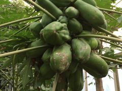 -祥源·阜阳生态乐园