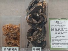 -北京中医药大学-中医药博物馆