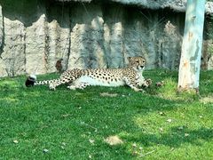 -北京野生动物园