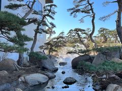 -罗红摄影艺术馆