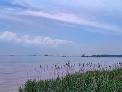 -上海吴淞炮台湾国家湿地公园