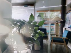 点击看大图 -薇兰专业脱毛连锁机构