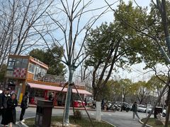 -合肥滨湖国家森林公园