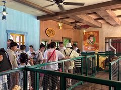 游乐设施-上海迪士尼度假区
