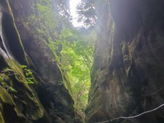-黑河国家森林公园