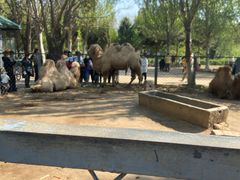 -长白岛森林公园