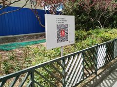 -北京大学肿瘤医院