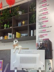 -东方美妍小鹏造型