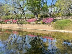 -元大都城垣遗址公园