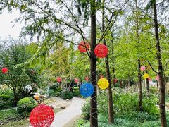 -上海长兴岛郊野公园