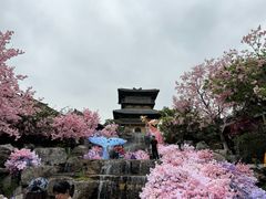 -茅山东方盐湖城景区