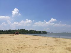 -瑶湖郊野森林公园