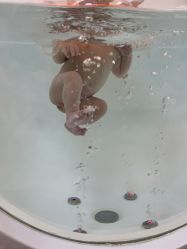 -月满阁月子中心(莲湖区店)